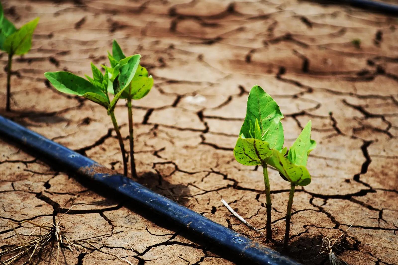 Environmental Protection